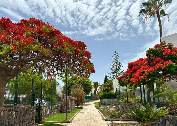 Cerca De La Playa Y Jardin Apartment *